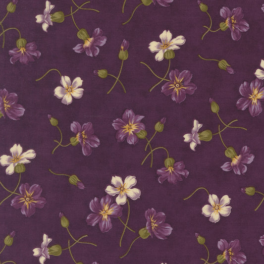 Collections Essence ~ 46271 13 Plum