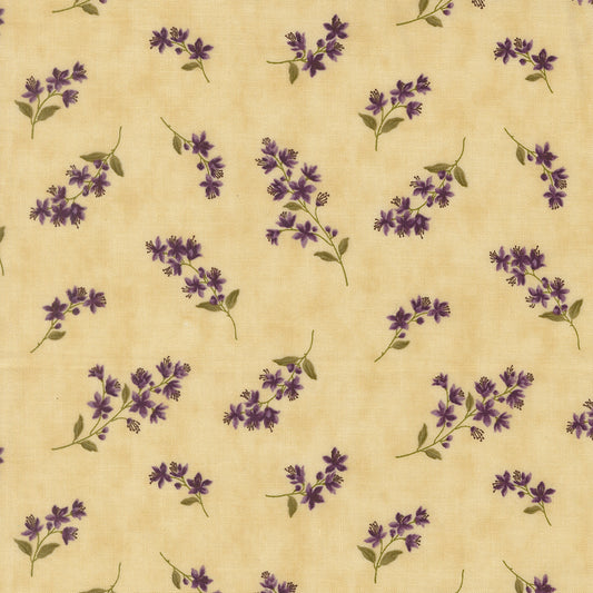 Collections Essence ~ 46274 11 Parchment