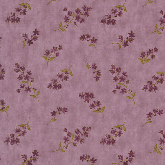 Collections Essence ~ 46274 12 Lavender