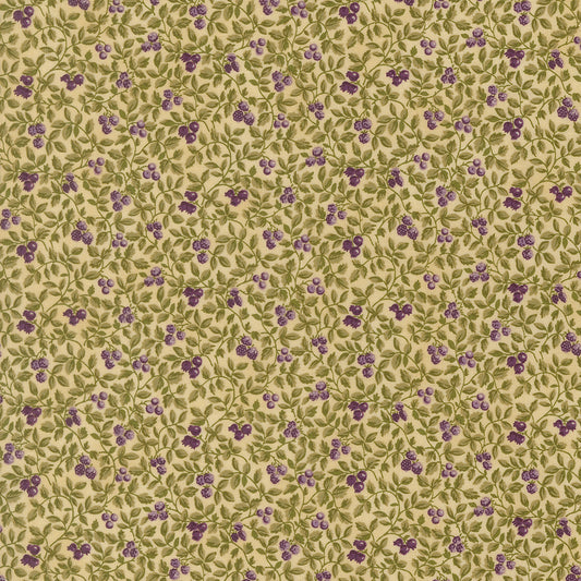 Collections Essence ~ 46276 11 Parchment