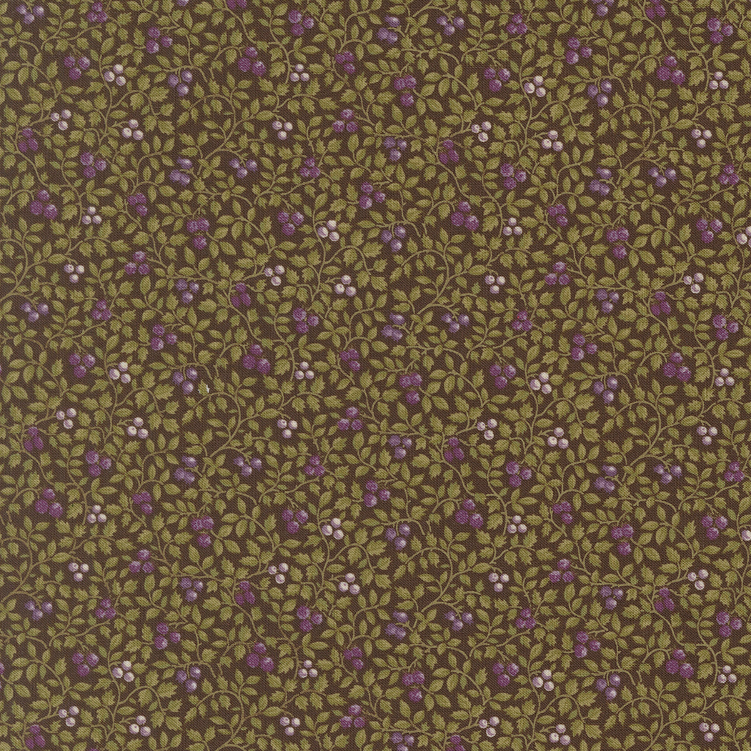 Collections Essence ~ 46276 15 Soil