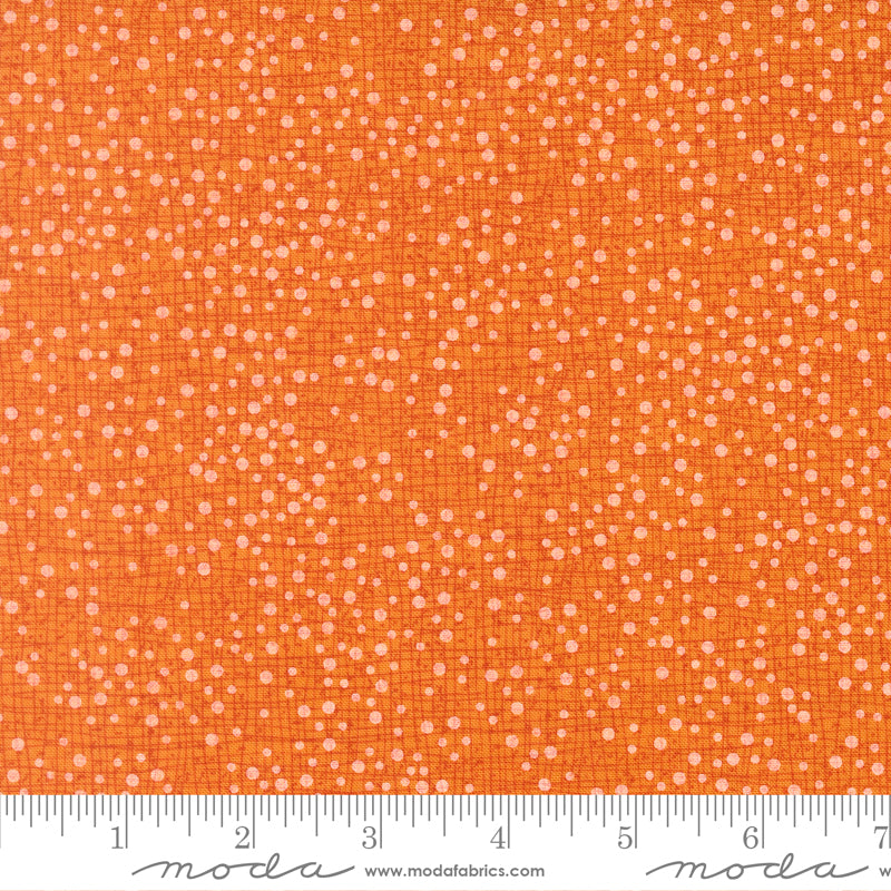 Coven ~ Dotty Thatched ~ 48715 123 Citrus