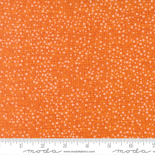Coven ~ Dotty Thatched ~ 48715 123 Citrus