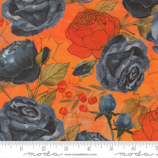 Coven ~ Rose ~ 48800 12 Pumpkin