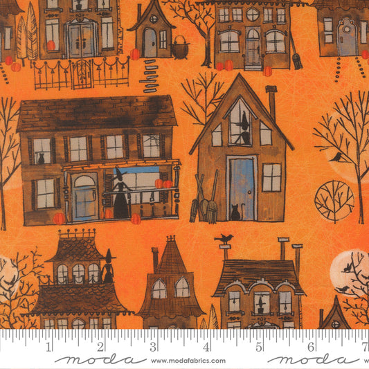 Coven ~ Witchy Village ~ 48801 12 Pumpkin