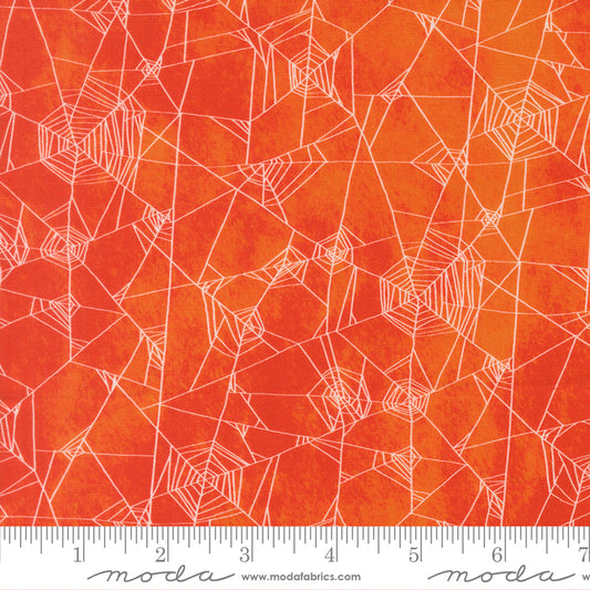 Coven ~ Spider Web ~ 48804 13 Spice