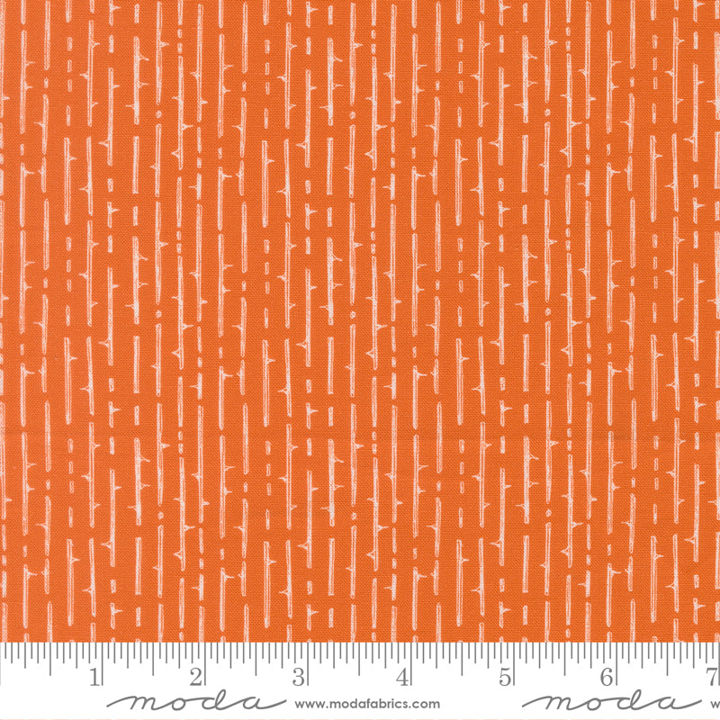 Coven ~ Thorny Stripes ~ 48806 13 Pumpkin Spice