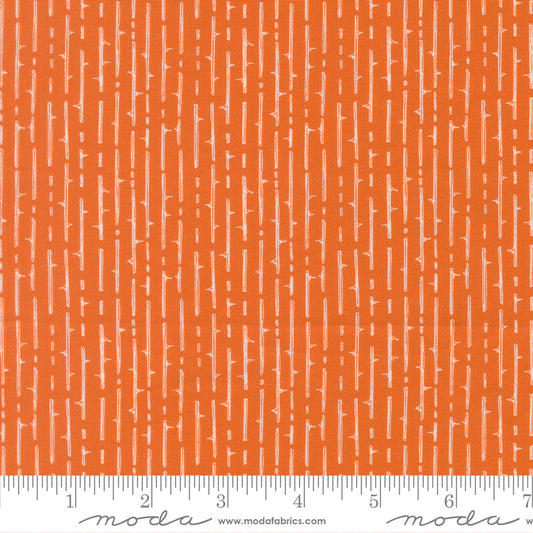 Coven ~ Thorny Stripes ~ 48806 13 Pumpkin Spice