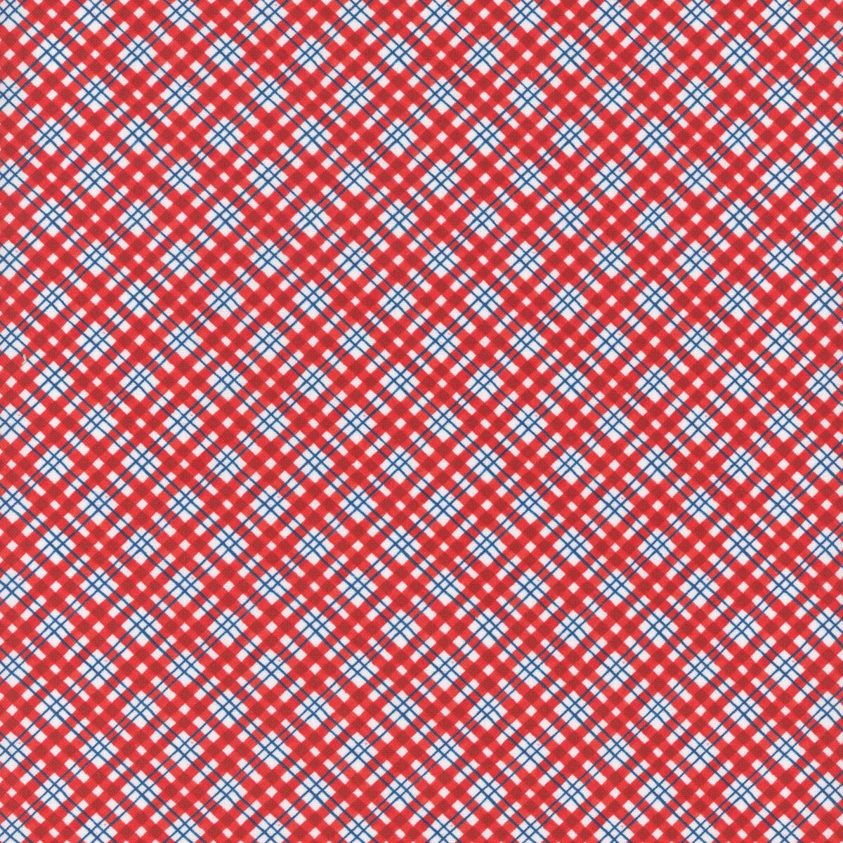Patchwork Picnic ~ W105-018-306 Red