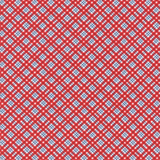 Patchwork Picnic ~ W105-018-306 Red