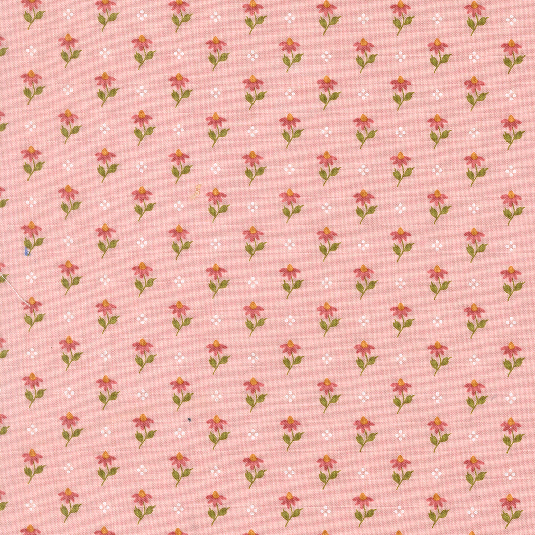 Wild Honey ~ Bumbling Posies ~ 5252 12 Carnation