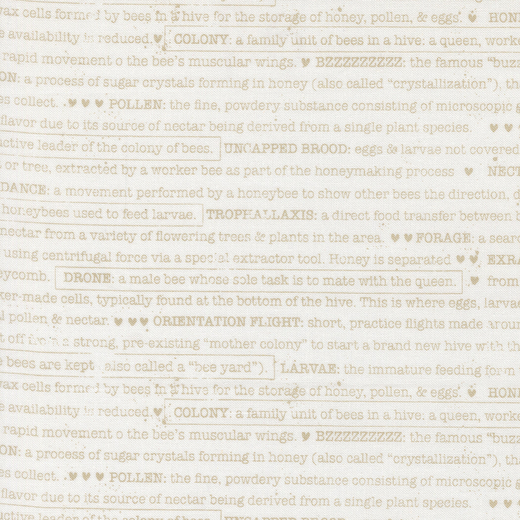 Wild Honey ~ Buzz Words ~ 5254 11 Daisy