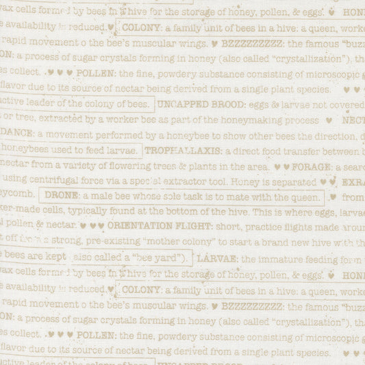 Wild Honey ~ Buzz Words ~ 5254 11 Daisy