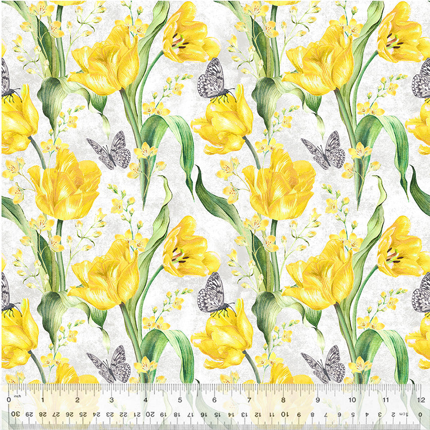 Tulip Fields ~ Tulip Fields ~ 54161-1 White