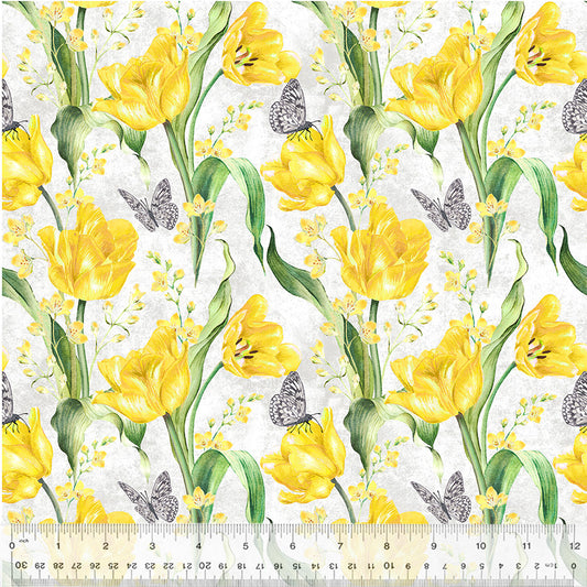 Tulip Fields ~ Tulip Fields ~ 54161-1 White