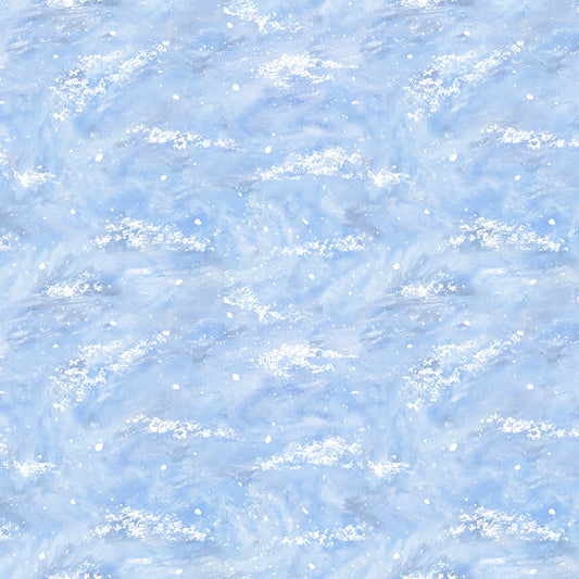 Winter Wonder ~ Snowfield ~ 55169D-2 Icy Blue