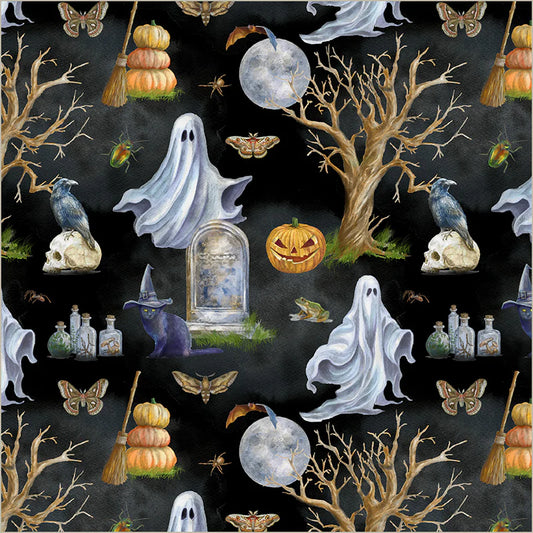 Happy Haunting ~ Toil and Trouble ~ 55178-1 Night