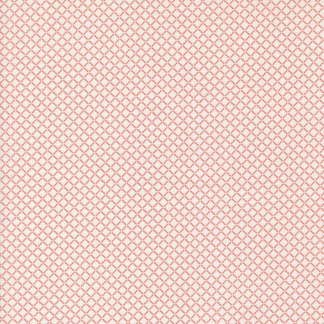 Rosemary Cottage ~ Little Sail Checks and Plaidss ~ 55317 11 Cream Strawberry