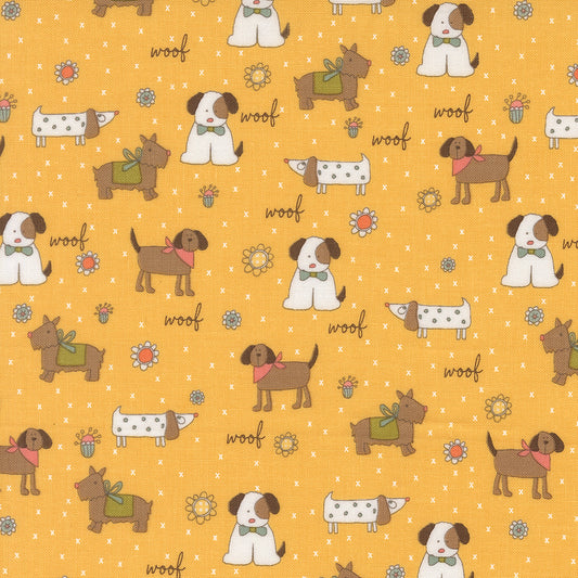 Lucky ~ Puppy Parade ~ 55700 14 Sun