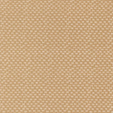 Lucky ~ Lucky In The Grass ~ 55704 17 Sand
