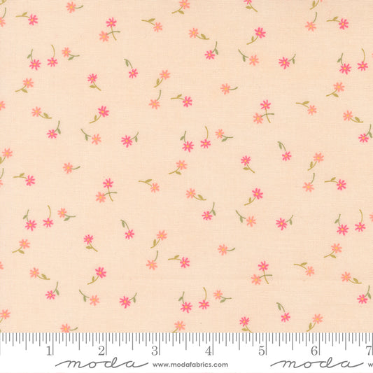 Kindness ~ Fluttering Flowers ~ 56154 12 Peach
