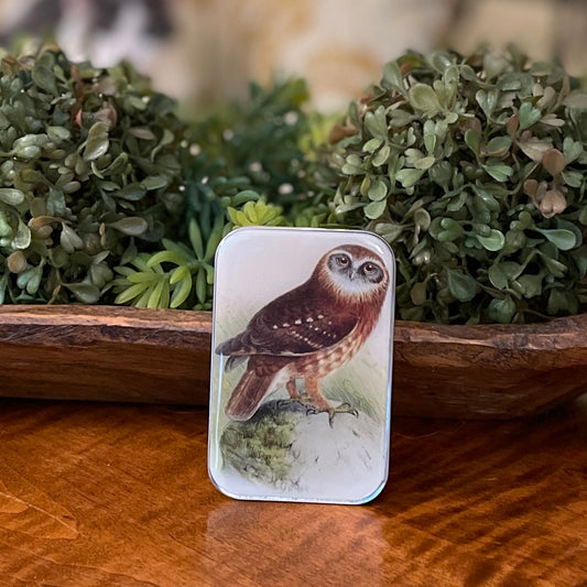 Tin Container with Magnet Large ~ Owl