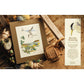 Inspirations Magazine | The Handpicked Collection 6