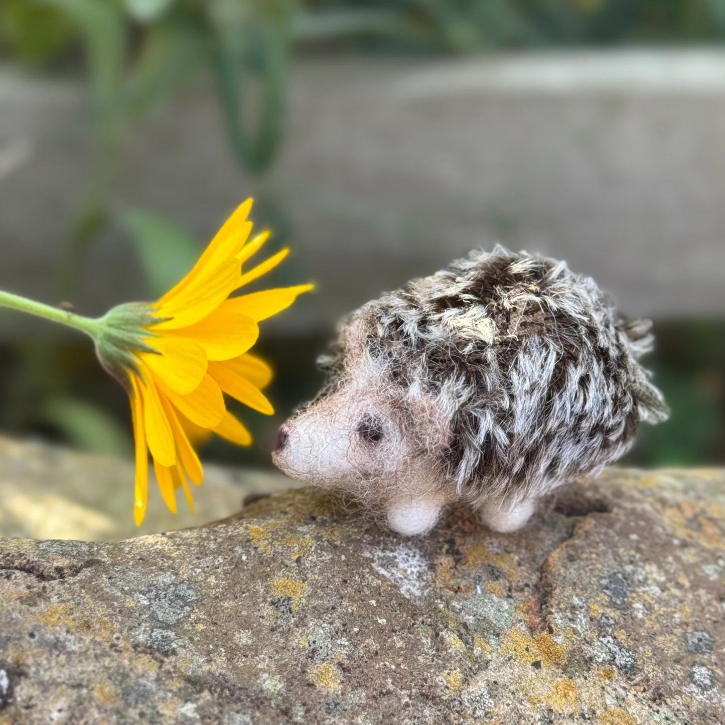The Crafty Kit Company | Happy Hedgehogs Needle Felting Kit