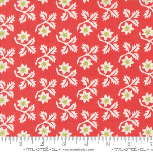 Buon Natale ~ Woodcut Christmas Flower 35402 13 Poinsettia