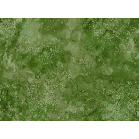 Flow Basics ~ 8433 47 Fern