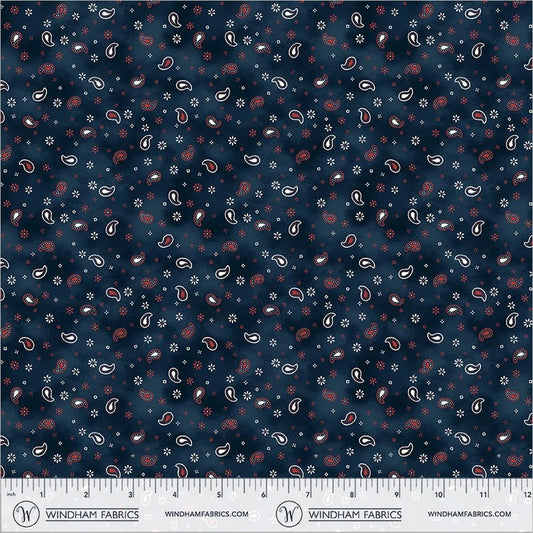 Lone Star Trail | Little Paisley - 55434-11 Indigo