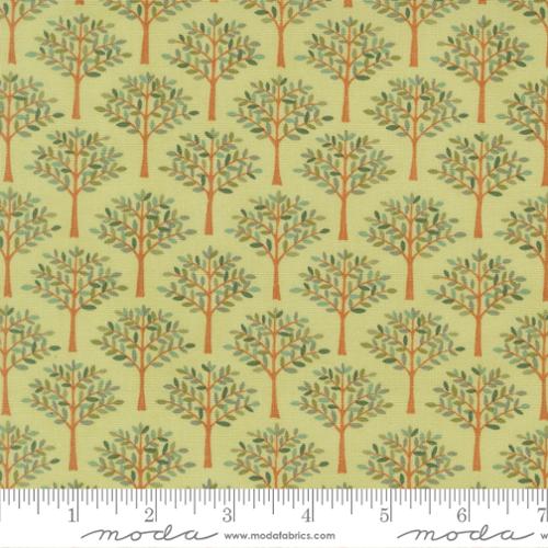 Family Tree ~ Trees In A Row ~ 56163 14 Eucalyptus