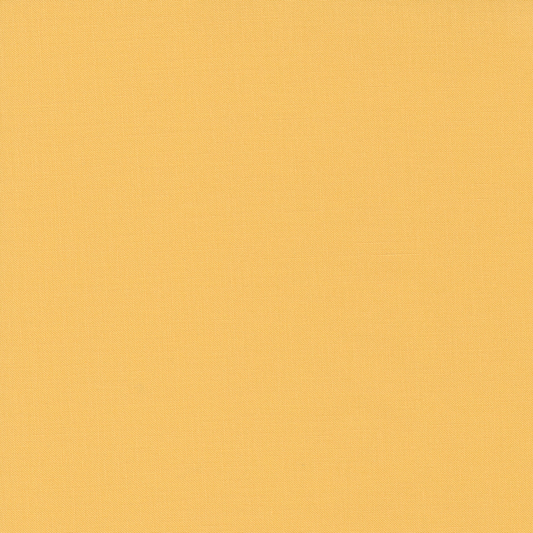 Bella Solids ~ 9900 318 Afternoon