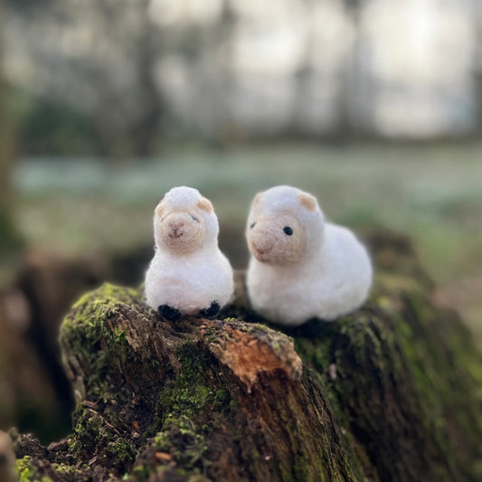 The Crafty Kit Company | Sheep Family Needle Felting Kit