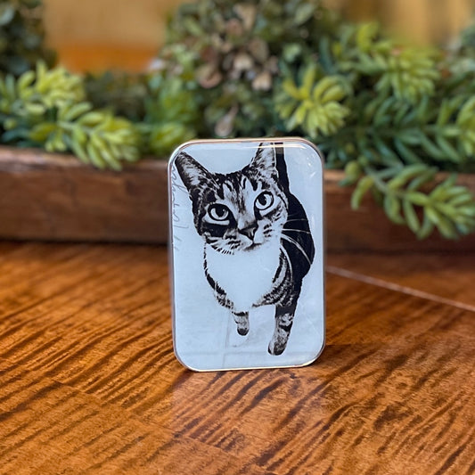 Tin Container with Magnet Large ~ Cat