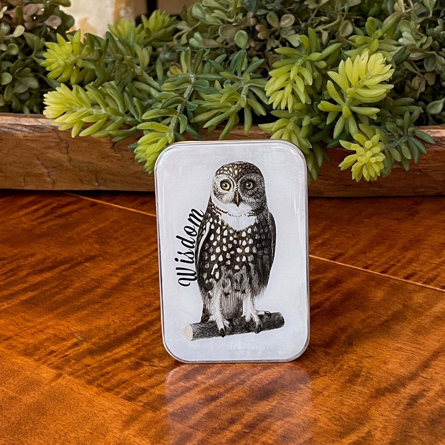 Tin Container with Magnet Large ~ Wisdom Owl