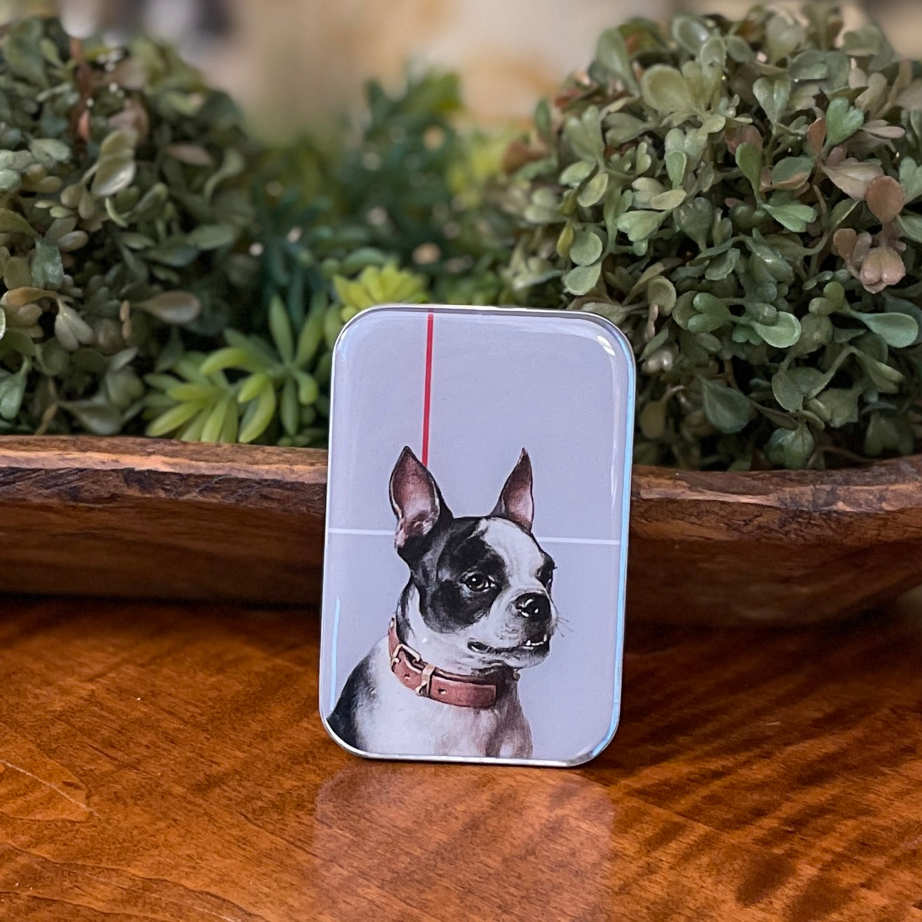Tin Container with Magnet Large ~ Boston Terrier