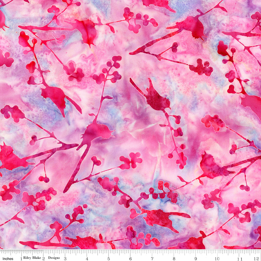 Sassy and Tweet ~ BT23091-184 Lollipop