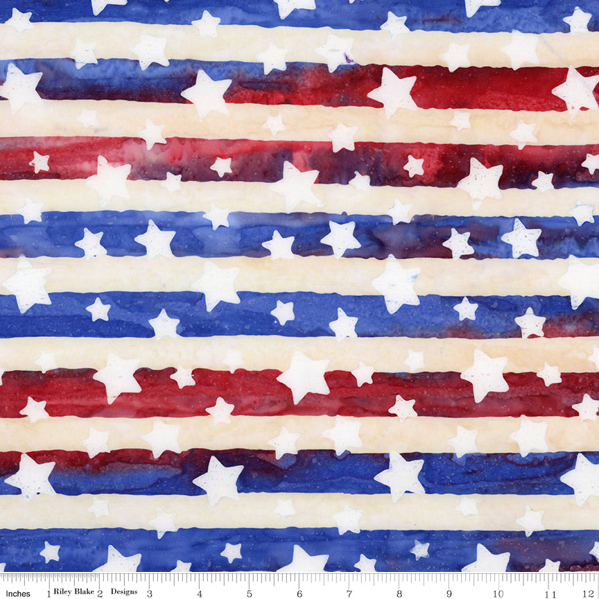 Let Freedom Reign ~ BT23191-223 Fireworks