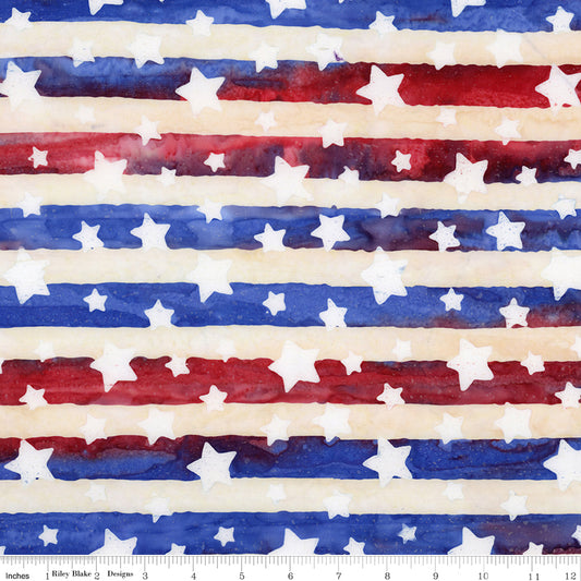 Let Freedom Reign ~ BT23191-223 Fireworks