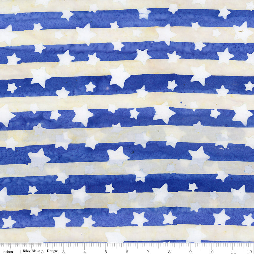 Let Freedom Reign ~ BT23191-293 Blueprint Matte