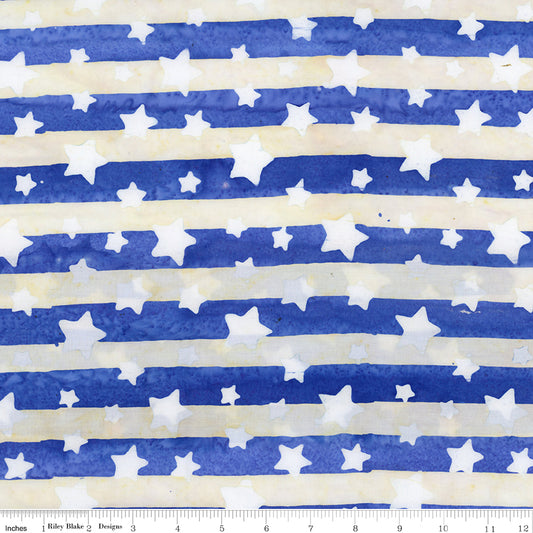 Let Freedom Reign ~ BT23191-293 Blueprint Matte