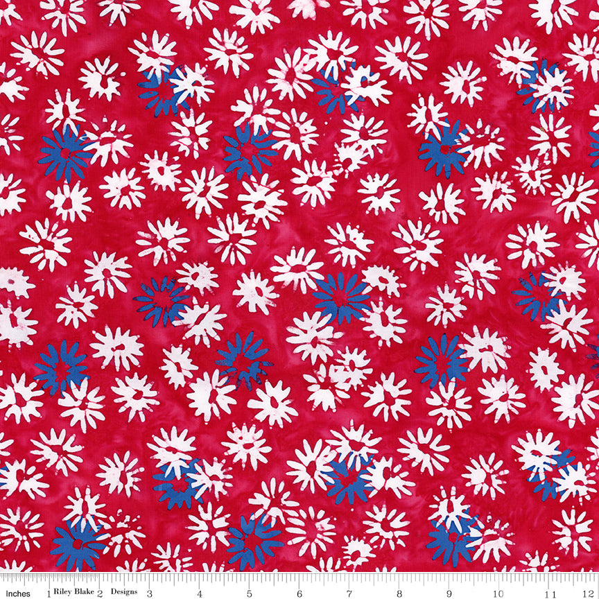 Let Freedom Reign ~ BT23193-223 Fireworks