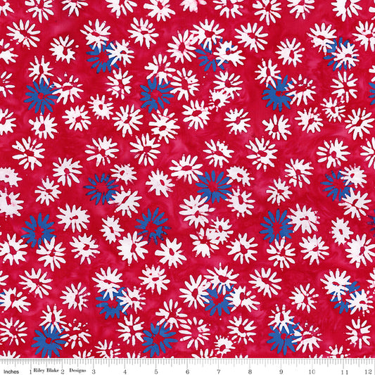 Let Freedom Reign ~ BT23193-223 Fireworks