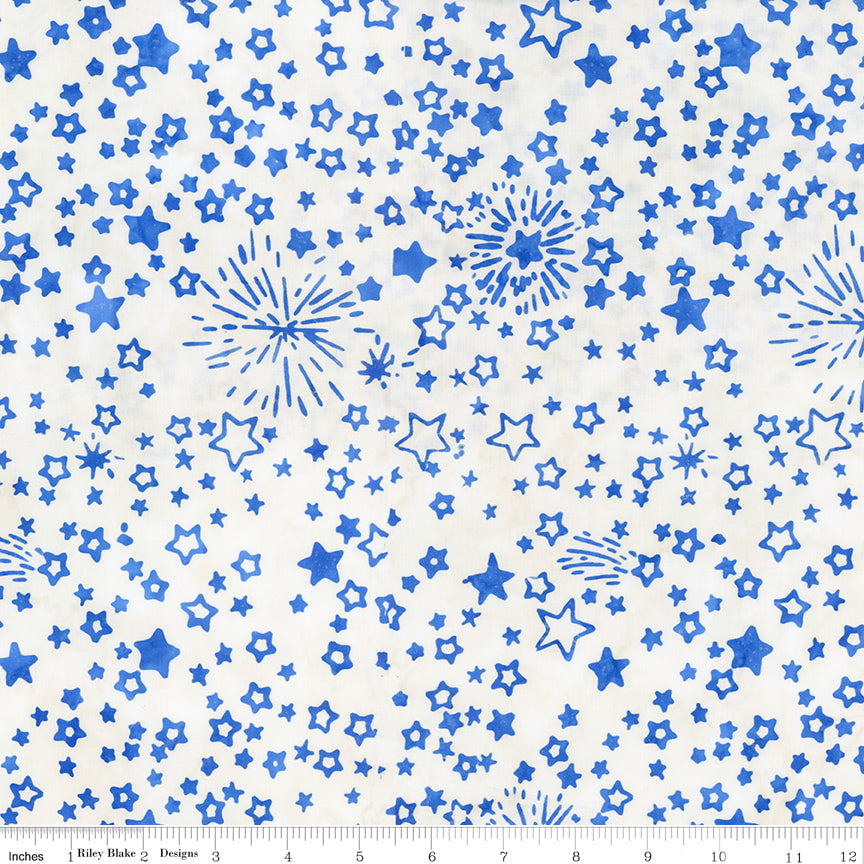 Let Freedom Reign ~ BT23197-293 Blueprint Matte