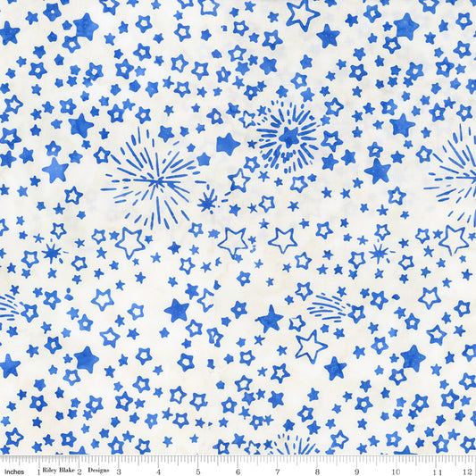 Let Freedom Reign ~ BT23197-293 Blueprint Matte