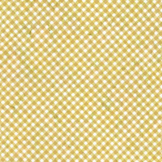 Watercolor Daisies ~ BT23245-256 Butterscotch