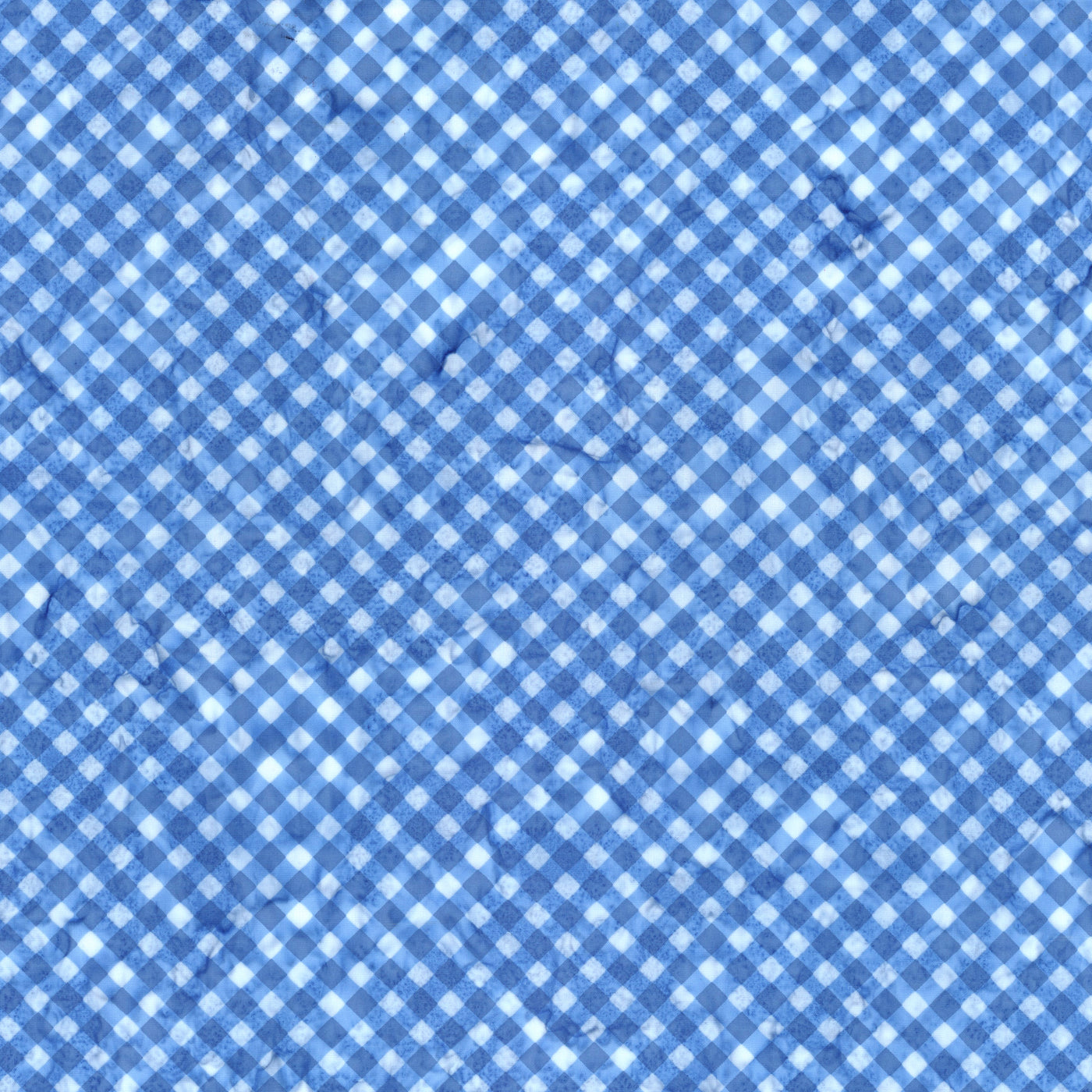 Watercolor Daisies ~ BT23245-293 Blueprint Matte