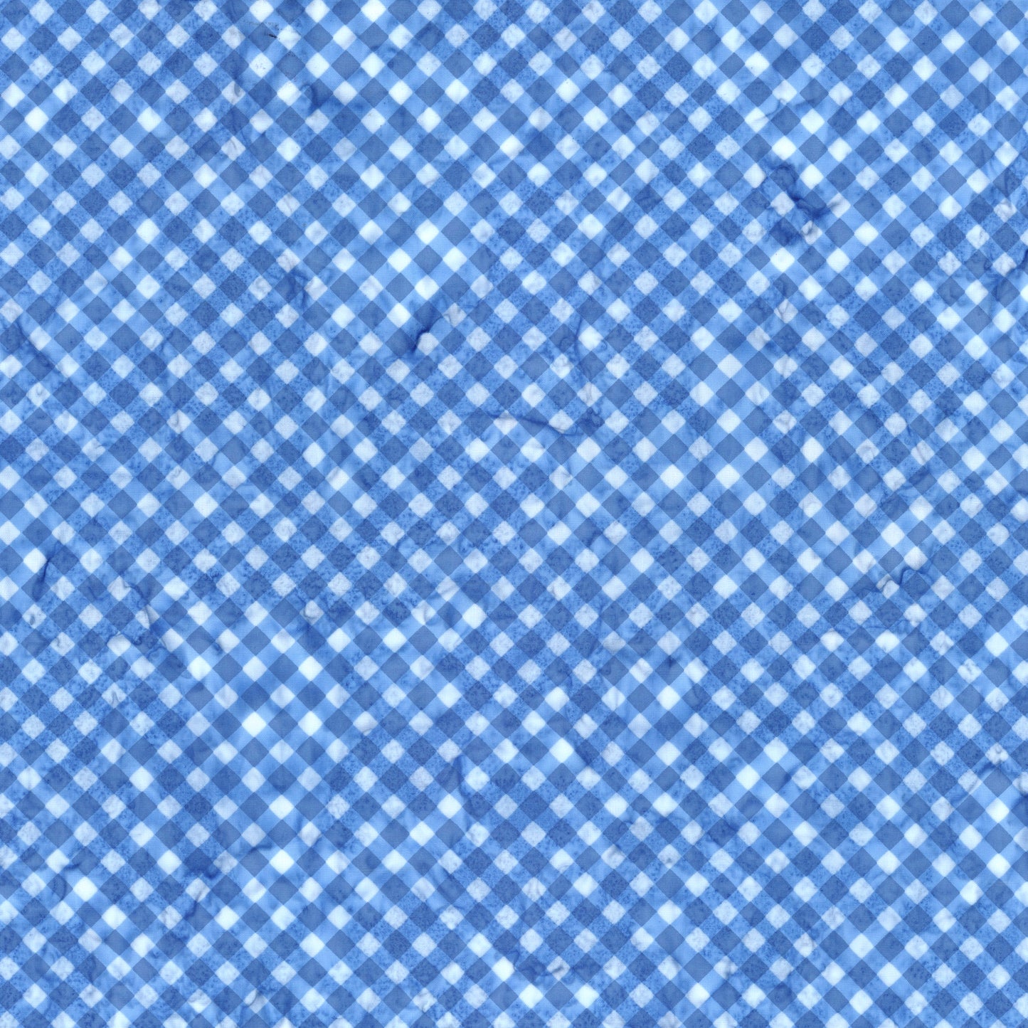 Watercolor Daisies ~ BT23245-293 Blueprint Matte