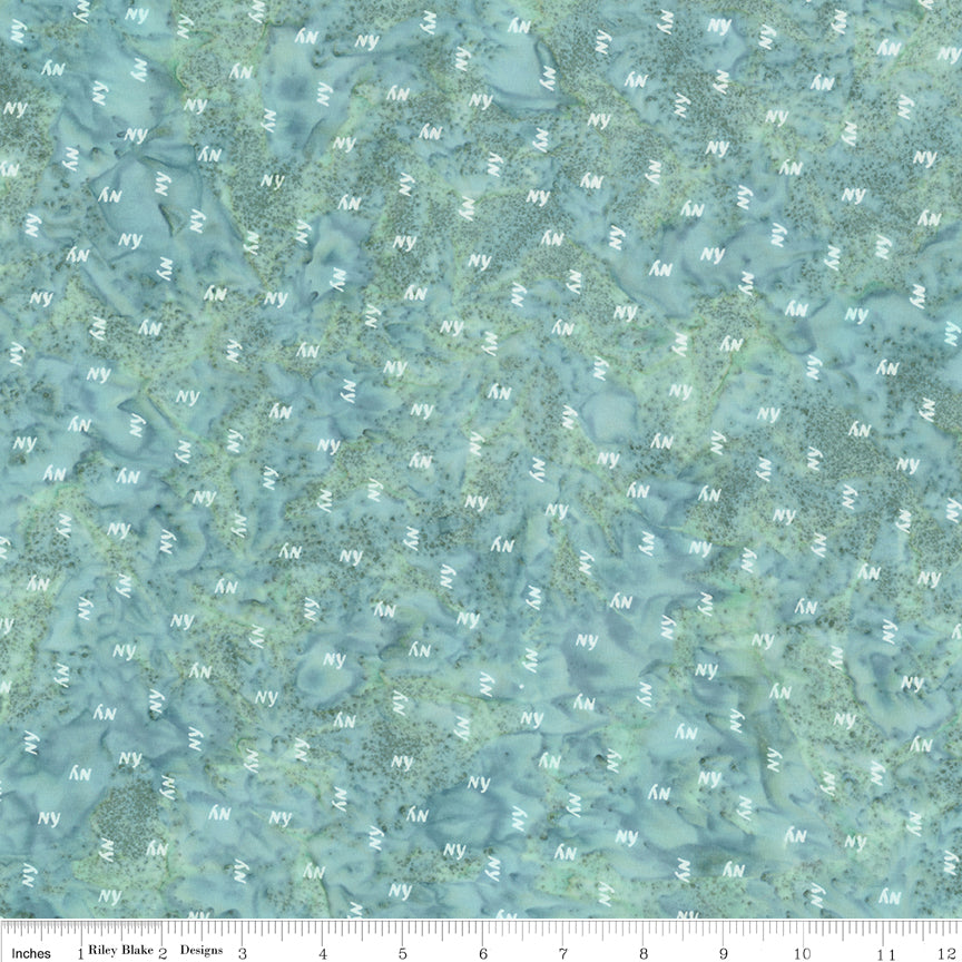 New York ~ BT23647-672 Seafoam Splash